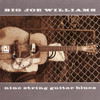 Big Joe Williams Nine String Guitar Blues