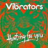 Vibrators Hunting for You