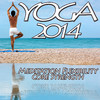 Various Artists Yoga 2014 - Meditation Flexibility Core Strength of Mind Body Fitness Chilled Relaxation to Chillout Yoga