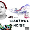 Ace Beautiful Noise