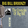 Big Bill Broonzy The Chronicles of Big Bill