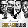 Hound Dog Taylor Essential Chicago Blues