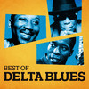 John Lee Hooker Best of Delta Blues