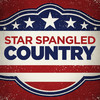 Marty Robbins Star Spangled Country