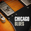 Buddy Guy Chicago Blues