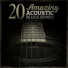 Lightnin` Hopkins 20 Amazing Acoustic Blues Songs