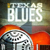 Tinsley Ellis Best - Texas Blues