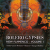 Armik Bolero Gypsies: New Flamenco, Vol. 1