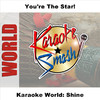 Various Artists Karaoke World: Shine