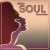 Ike & Tina Turner Retro Soul Sensation