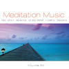 Mike Rowland Meditation Music, Vol. 50
