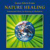 Gomer Edwin Evans Nature Healing (Instrumental Music for Relaxing & Meditation)