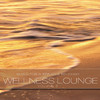 Sangit Om Wellness Lounge, Vol. 5