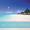 Karunesh Wellness Lounge, Vol. 1
