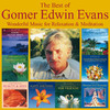 Gomer Edwin Evans The Best Of Gomer Edwin Evans: Fantastic Instrumental Music