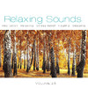 Corciolli Relaxing Sounds, Vol. 25