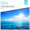Brainscapes SPA & Relaxing Music, Vol. 20
