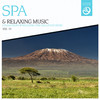 Sangit Om SPA & Relaxing Music, Vol. 13