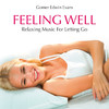 Gomer Edwin Evans Feeling Well: Relaxing Music for Letting Go