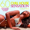 11_inch & Jesse Lee Davis Chill House Sensation, Vol. 6 - 60 Fantastic Summer Tunes