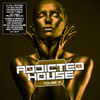 DJ Fist Addicted 2 House, Vol. 14