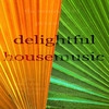 Various Artists Delightful Housemusic (Top Tunes Proghouse Meets Deephouse Compilation in E-Key)