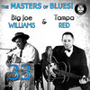 Tampa Red The Masters of Blues! (33 Best of Big Joe Williams & Tampa Red)