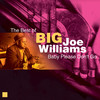 Big Joe Williams Baby Please Don`t Go (The Best of)
