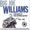 Big Joe Williams the Giant of the 9 Strings Guitar
