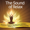 AQUA The Sound of Relax (50 Selected Tracks for Spa, Joga, Reiki, Meditation, Sleeping, Relaxation, Positive Thinking)