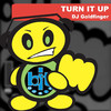 DJ Goldfinger Turn It Up - Single