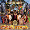 Hilight Tribe Live in India