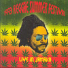 Beenie Man 1993 Reggae Summer Festival (Live In Jamaica)