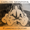 Carlos Montoya Flamenco Guitar
