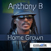 Anthony B Home Grown - Single