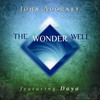 John Adorney The Wonder Well