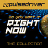 Pulsedriver Do You Want It Right Now (The Collection)