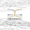 Skylab Artificial