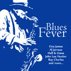 Daryl Hall & John Oates Blues Fever