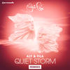 Aly And Fila Quiet Storm (Remixes) (Extended Versions)