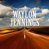 Waylon Jennings The Magnificent