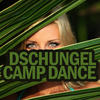 Tom Larusso Dschungel Camp Dance
