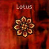 Lotus Lotus