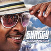 Shaggy Summer in Kingston (Lava Edition)