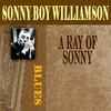Sonny Boy Williamson A Ray of Sonny
