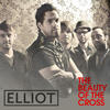 Elliott The Beauty of the Cross