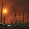 Speed limit The Aftermath - EP