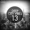 Flex Deep City Vibes, Vol. 13