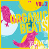 Butch Organic Beats, Vol. 2 (Electronic Music Sampler)