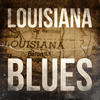 Lonnie Brooks Louisiana Blues